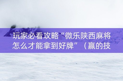 玩家必看攻略“微乐陕西麻将怎么才能拿到好牌”（赢的技巧规律)