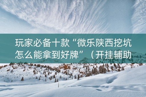 玩家必备十款“微乐陕西挖坑怎么能拿到好牌”（开挂辅助器插件)