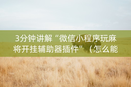 3分钟讲解“微信小程序玩麻将开挂辅助器插件”（怎么能得到好牌)