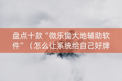 盘点十款“微乐锄大地辅助软件”（怎么让系统给自己好牌)
