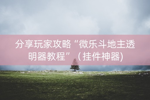分享玩家攻略“微乐斗地主透明器教程”（挂件神器)