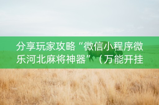 分享玩家攻略“微信小程序微乐河北麻将神器”（万能开挂器)