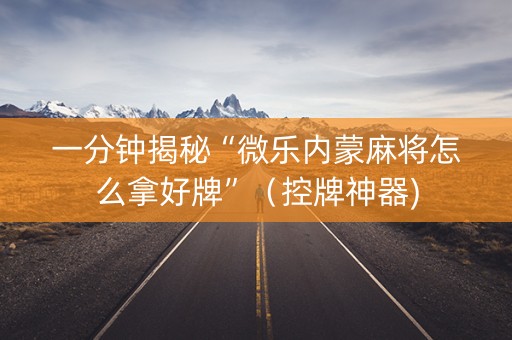一分钟揭秘“微乐内蒙麻将怎么拿好牌”（控牌神器)