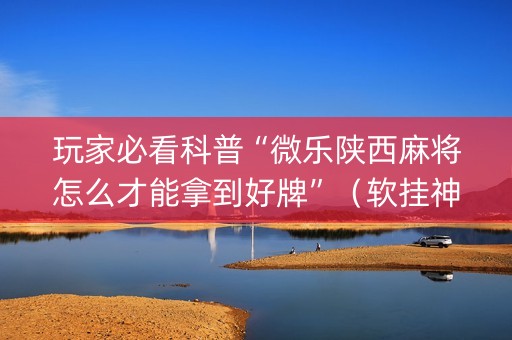 玩家必看科普“微乐陕西麻将怎么才能拿到好牌”（软挂神器)