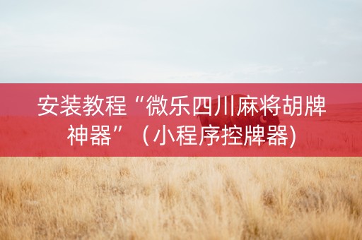 安装教程“微乐四川麻将胡牌神器”（小程序控牌器)
