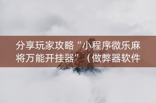 分享玩家攻略“小程序微乐麻将万能开挂器”（做弊器软件下载)
