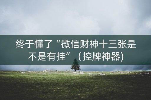 终于懂了“微信财神十三张是不是有挂”（控牌神器)