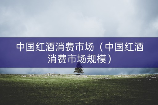 中国红酒消费市场（中国红酒消费市场规模）
