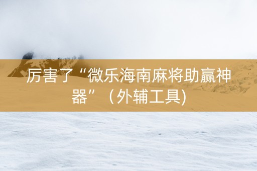 厉害了“微乐海南麻将助赢神器”（外辅工具)