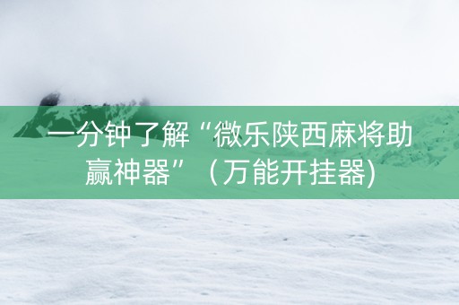 一分钟了解“微乐陕西麻将助赢神器”（万能开挂器)