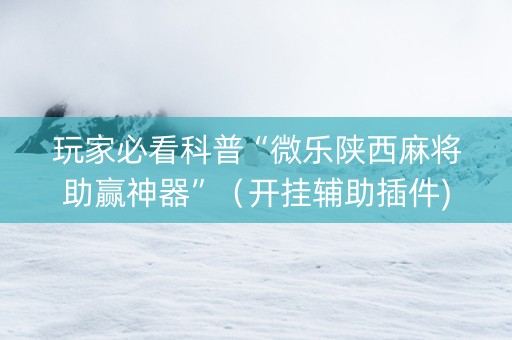 玩家必看科普“微乐陕西麻将助赢神器”（开挂辅助插件)
