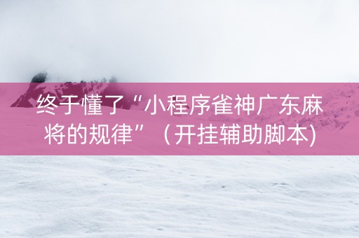 终于懂了“小程序雀神广东麻将的规律”（开挂辅助脚本)