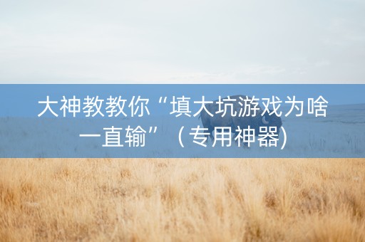 大神教教你“填大坑游戏为啥一直输”（专用神器)