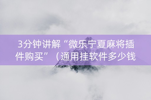 3分钟讲解“微乐宁夏麻将插件购买”（通用挂软件多少钱)