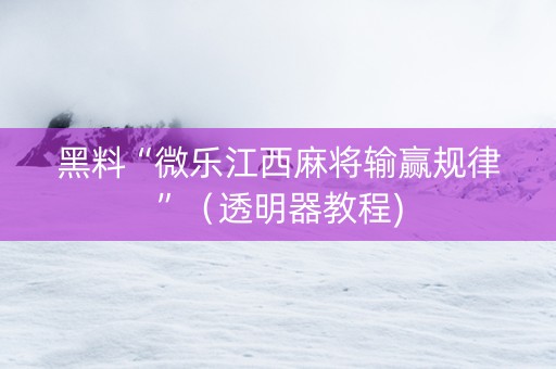 黑料“微乐江西麻将输赢规律”（透明器教程)