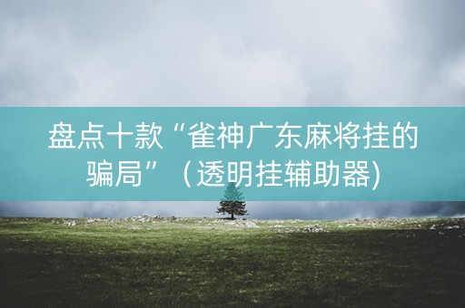 盘点十款“雀神广东麻将挂的骗局”（透明挂辅助器)
