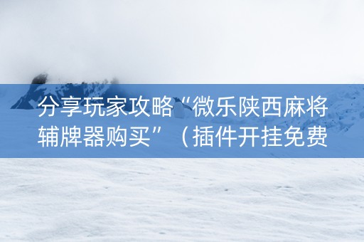 分享玩家攻略“微乐陕西麻将辅牌器购买”（插件开挂免费AI)