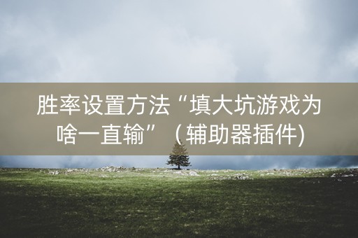 胜率设置方法“填大坑游戏为啥一直输”（辅助器插件)