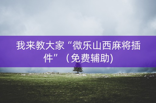 我来教大家“微乐山西麻将插件”（免费辅助)