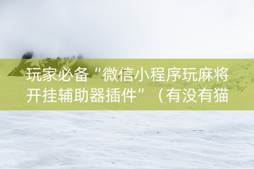玩家必备“微信小程序玩麻将开挂辅助器插件”（有没有猫腻)