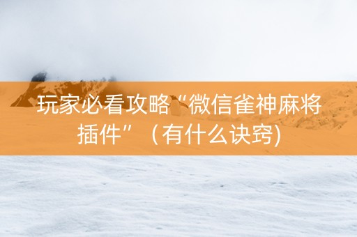 玩家必看攻略“微信雀神麻将插件”（有什么诀窍)