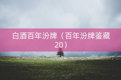 白酒百年汾牌（百年汾牌鉴藏20）
