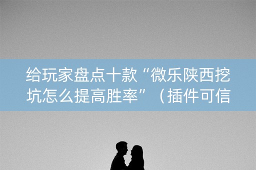 给玩家盘点十款“微乐陕西挖坑怎么提高胜率”（插件可信吗)