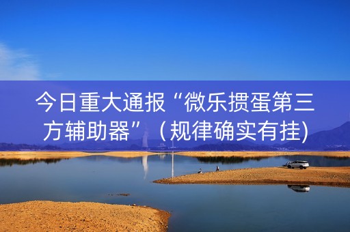 今日重大通报“微乐掼蛋第三方辅助器”（规律确实有挂)