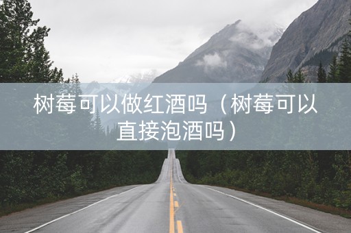 树莓可以做红酒吗（树莓可以直接泡酒吗）