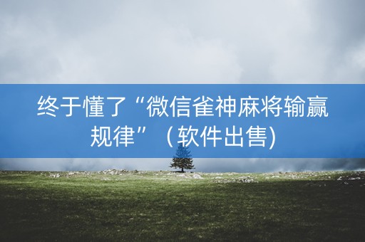 终于懂了“微信雀神麻将输赢规律”（软件出售)