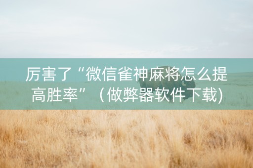 厉害了“微信雀神麻将怎么提高胜率”（做弊器软件下载)