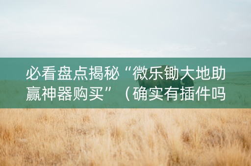 必看盘点揭秘“微乐锄大地助赢神器购买”（确实有插件吗)
