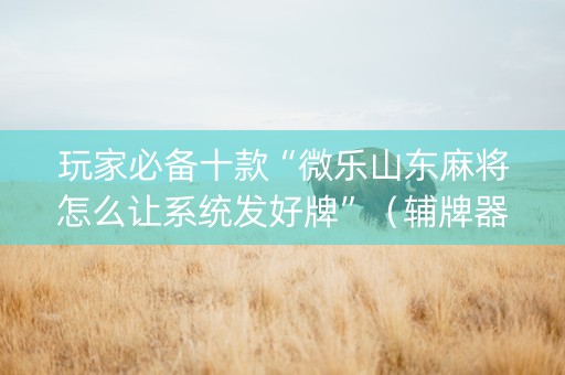 玩家必备十款“微乐山东麻将怎么让系统发好牌”（辅牌器插件购买)