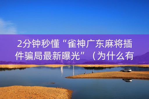 2分钟秒懂“雀神广东麻将插件骗局最新曝光”（为什么有人一直赢)