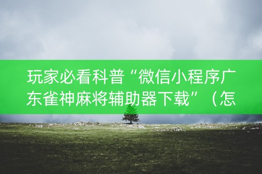 玩家必看科普“微信小程序广东雀神麻将辅助器下载”（怎么能让牌好一点)