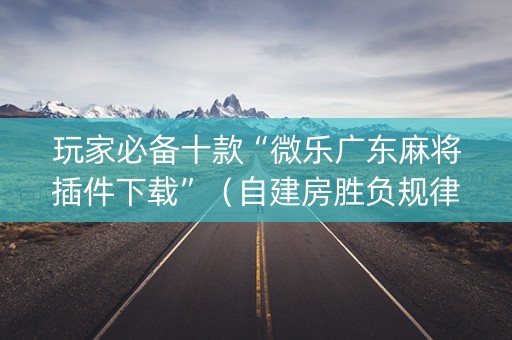 玩家必备十款“微乐广东麻将插件下载”（自建房胜负规律)