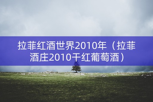 拉菲红酒世界2010年（拉菲酒庄2010干红葡萄酒）