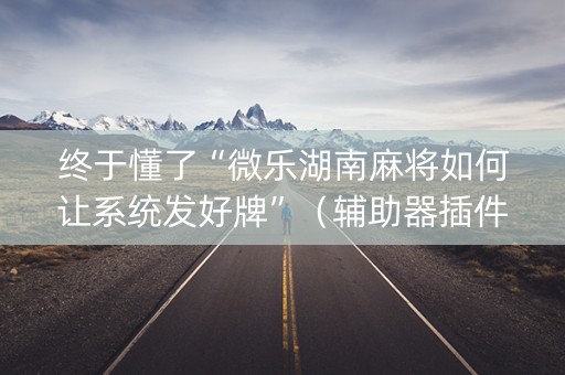 终于懂了“微乐湖南麻将如何让系统发好牌”（辅助器插件)