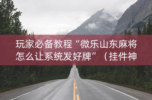 玩家必备教程“微乐山东麻将怎么让系统发好牌”（挂件神器)