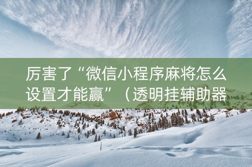 厉害了“微信小程序麻将怎么设置才能赢”（透明挂辅助器)