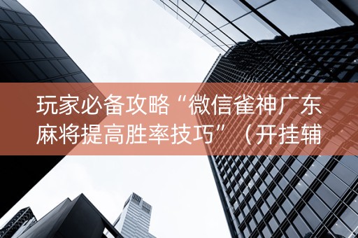 玩家必备攻略“微信雀神广东麻将提高胜率技巧”（开挂辅助器脚本)