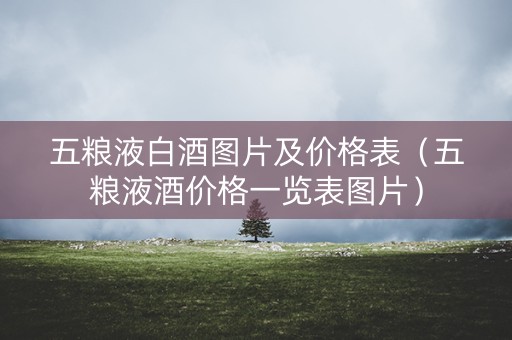 五粮液白酒图片及价格表（五粮液酒价格一览表图片）