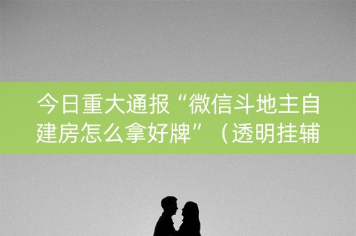 今日重大通报“微信斗地主自建房怎么拿好牌”（透明挂辅助器)
