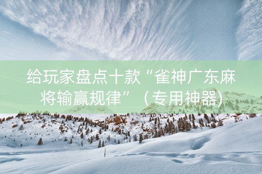 给玩家盘点十款“雀神广东麻将输赢规律”（专用神器)