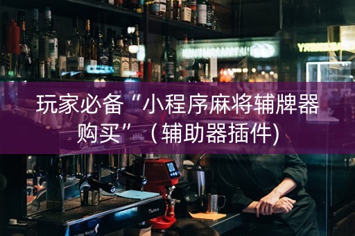玩家必备“小程序麻将辅牌器购买”（辅助器插件)