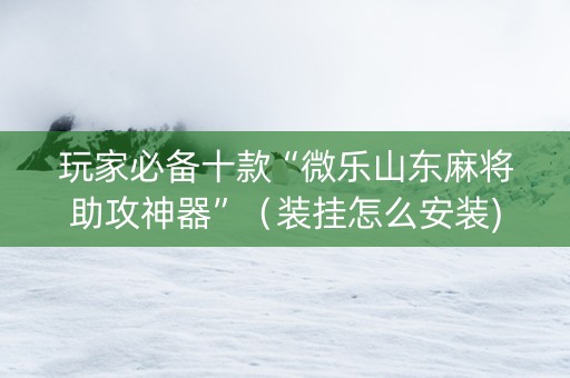 玩家必备十款“微乐山东麻将助攻神器”（装挂怎么安装)