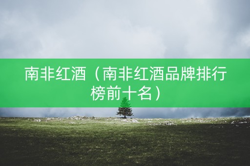 南非红酒（南非红酒品牌排行榜前十名）
