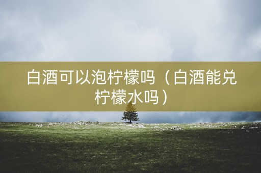 白酒可以泡柠檬吗（白酒能兑柠檬水吗）