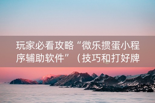 玩家必看攻略“微乐掼蛋小程序辅助软件”（技巧和打好牌方法)