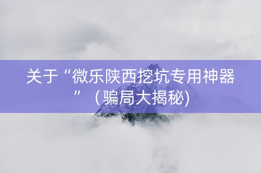 关于“微乐陕西挖坑专用神器”（骗局大揭秘)